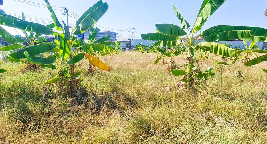 Terreno en venta en Taling Chan, Bangkok