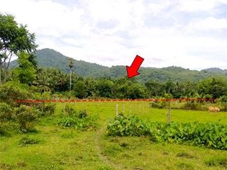 出售 土地 在 Kapho, Pattani