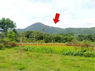 出售 土地 在 Kapho, Pattani