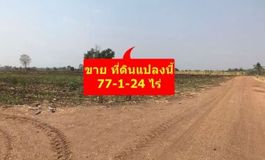 Grundstück zum Kauf in Si Thep, Phetchabun