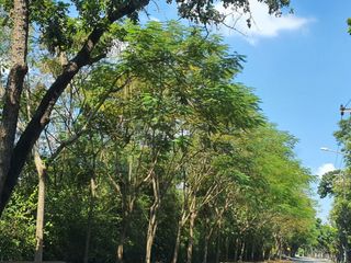 出售 土地 在 Khan Na Yao, 曼谷