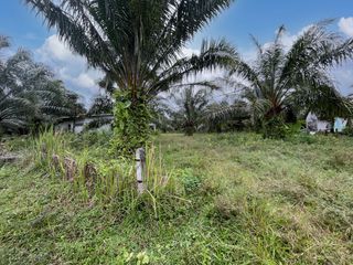 Terreno en venta en Takua Thung, Phang Nga