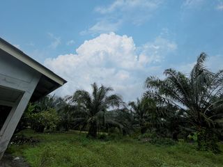 Terreno en venta en Takua Thung, Phang Nga