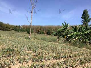 出售 土地 在 Ban Khai, Rayong