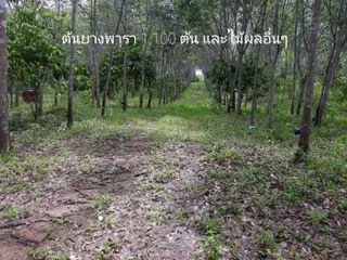 For sale studio land in Pong Nam Ron, Chanthaburi
