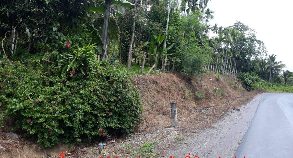 For sale land in Pong Nam Ron, Chanthaburi