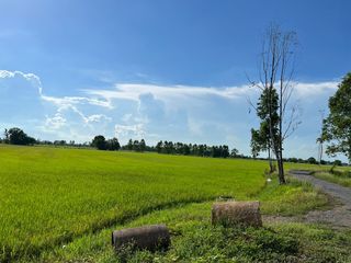For sale land in In Buri, Sing Buri