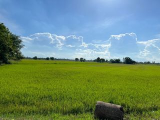 For sale land in In Buri, Sing Buri