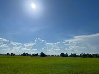 For sale land in In Buri, Sing Buri