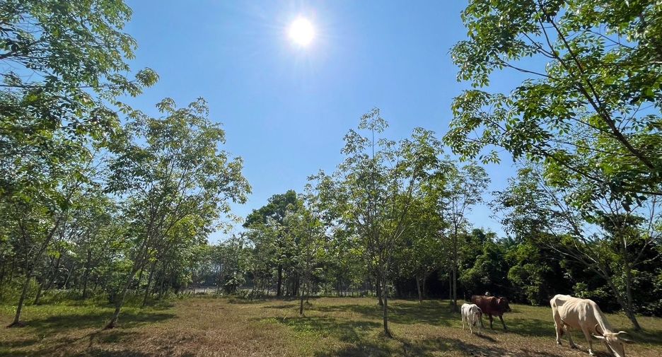 For sale land in Thai Mueang, Phang Nga