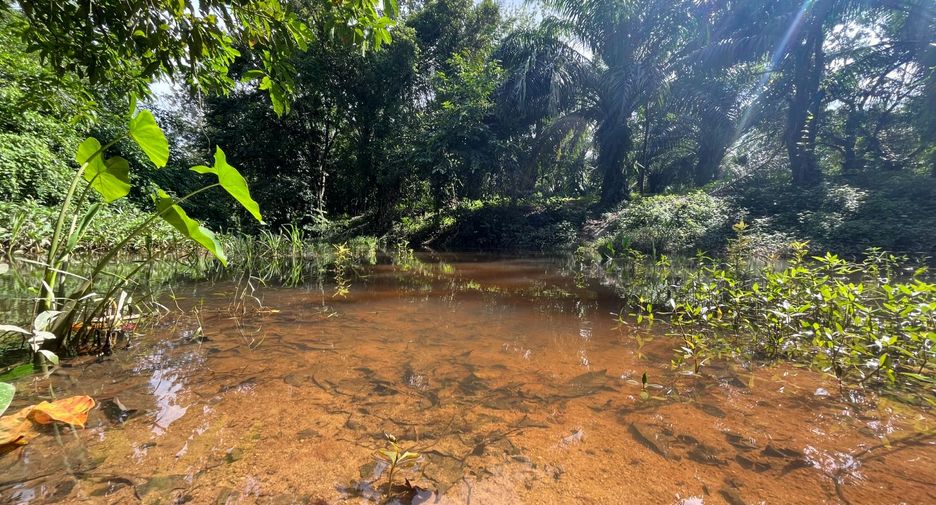 For sale land in Thai Mueang, Phang Nga