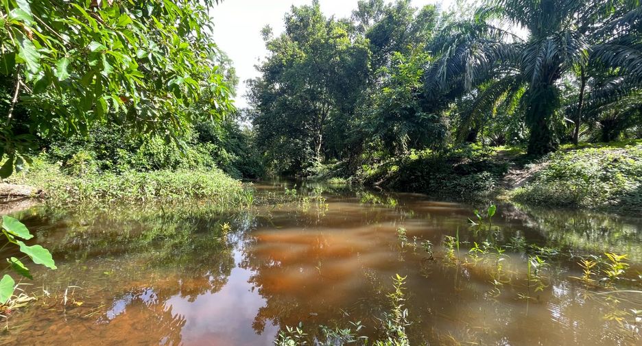 For sale land in Thai Mueang, Phang Nga