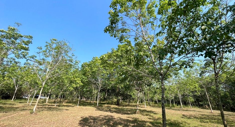 For sale land in Thai Mueang, Phang Nga
