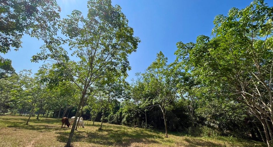 For sale land in Thai Mueang, Phang Nga