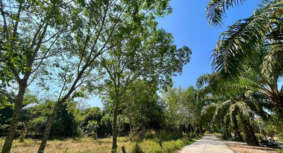 For sale land in Thai Mueang, Phang Nga