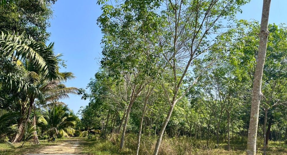 For sale land in Thai Mueang, Phang Nga