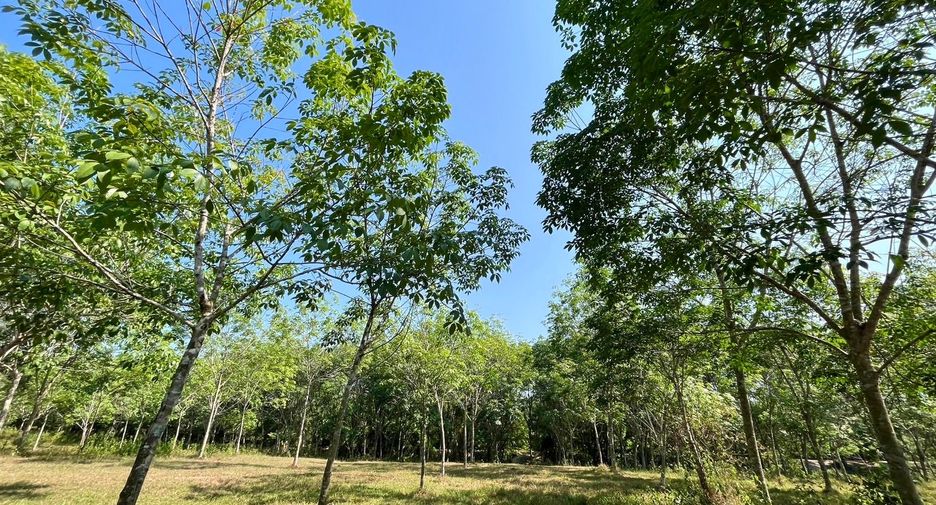 For sale land in Thai Mueang, Phang Nga