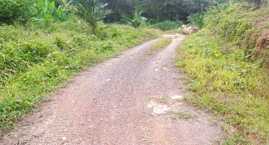 For sale land in Takua Thung, Phang Nga