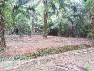 Terreno en venta en Takua Thung, Phang Nga