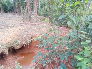 Terreno en venta en Takua Thung, Phang Nga