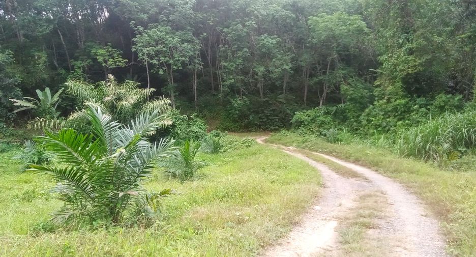 For sale land in Takua Thung, Phang Nga