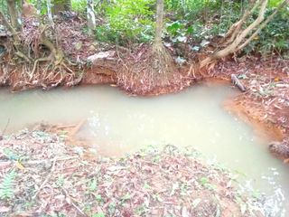 Terreno en venta en Takua Thung, Phang Nga