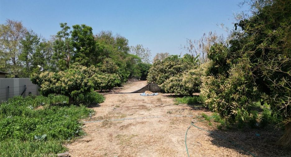 For sale land in Saraphi, Chiang Mai