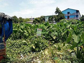 For sale land in Sam Phran, Nakhon Pathom