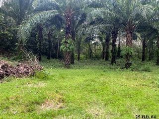 出售 土地 在 Kapho, Pattani