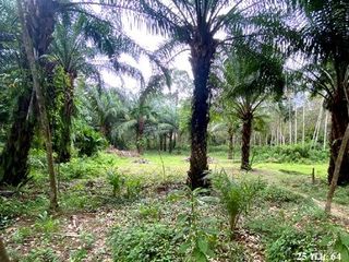 出售 土地 在 Kapho, Pattani