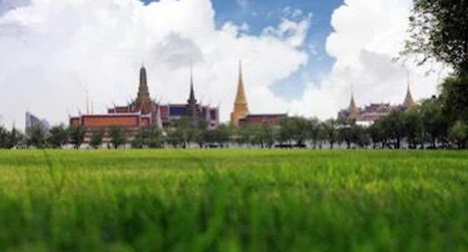 For rent 20 bed hotel in Thawi Watthana, Bangkok