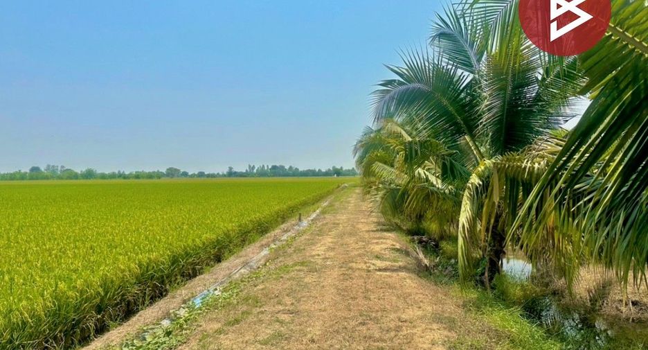 For sale land in Mueang Suphanburi, Suphan Buri