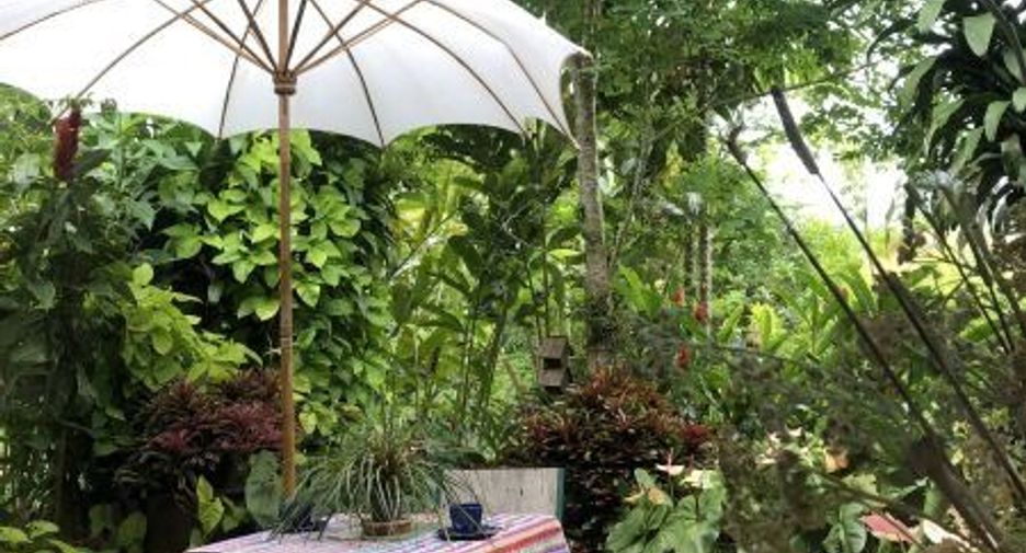For sale 3 bedrooms house in Mae Chan, Chiang Rai