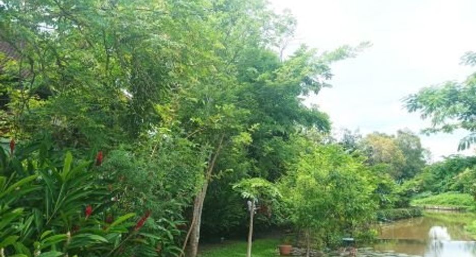 For sale 3 bedrooms house in Mae Chan, Chiang Rai