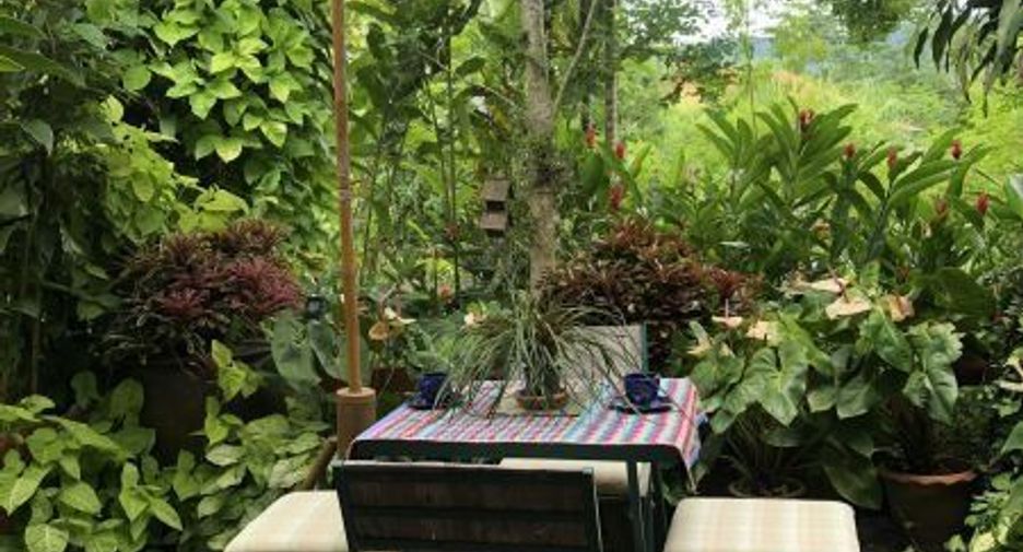 For sale 3 bedrooms house in Mae Chan, Chiang Rai