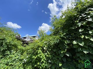 For sale warehouse in San Kamphaeng, Chiang Mai