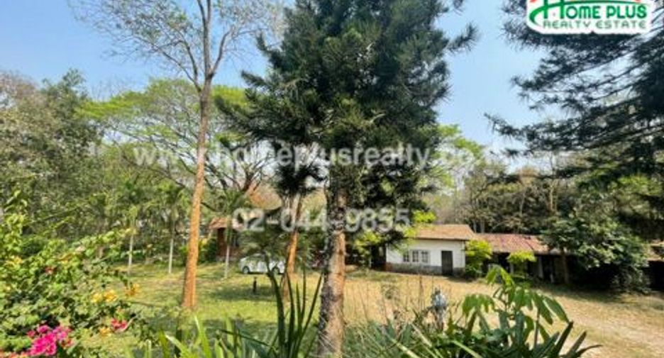 For sale land in Chom Thong, Chiang Mai