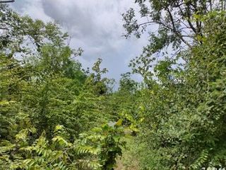出售 土地 在 Ban Hong, Lamphun