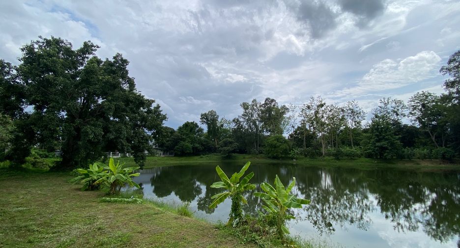 For rent 3 bedrooms house in San Sai, Chiang Mai