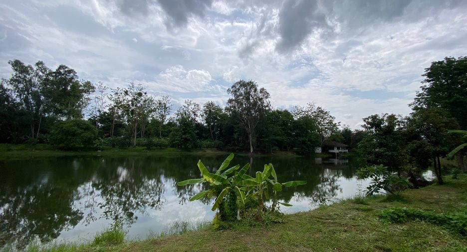 For rent 3 bedrooms house in San Sai, Chiang Mai