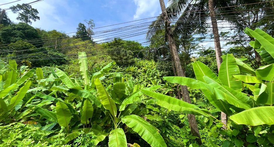 ขาย ที่ดิน ใน ถลาง, ภูเก็ต