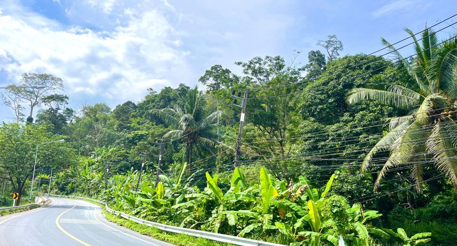 ขาย ที่ดิน ใน ถลาง, ภูเก็ต