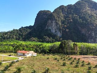 ขาย ที่ดิน ใน เมืองกระบี่, กระบี่