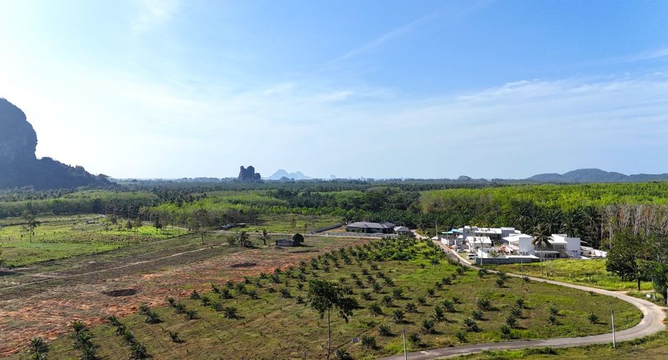 ขาย ที่ดิน ใน เมืองกระบี่, กระบี่