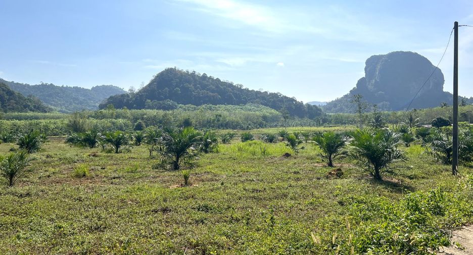 ขาย ที่ดิน ใน เมืองกระบี่, กระบี่