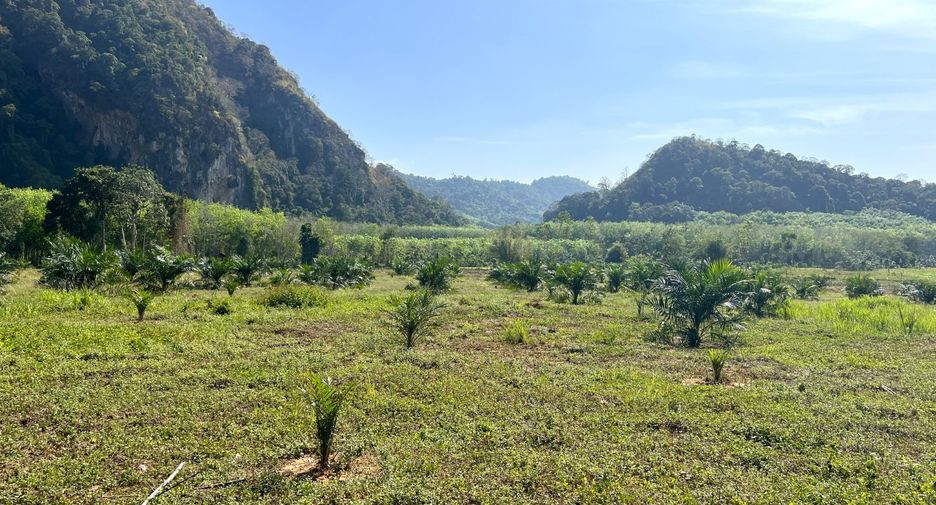 ขาย ที่ดิน ใน เมืองกระบี่, กระบี่