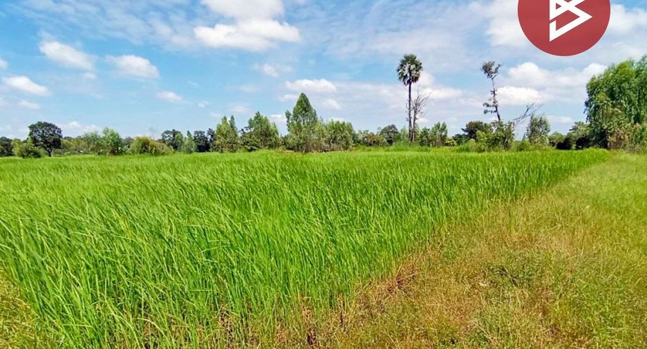 For sale land in Thung Khao Luang, Roi Et