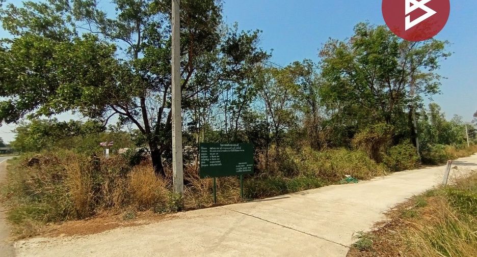 For sale land in Na Di, Prachin Buri