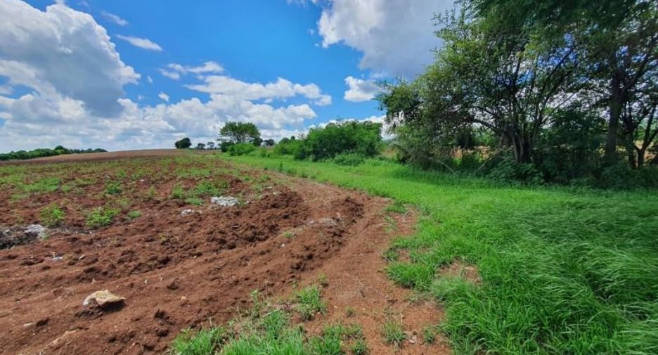 For sale land in Wang Muang, Saraburi