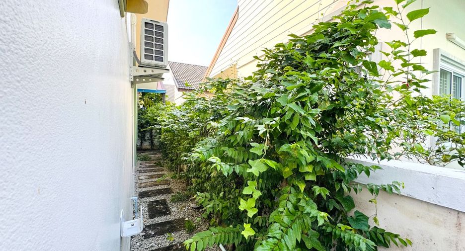 For sale 2 bedrooms house in Takua Thung, Phang Nga